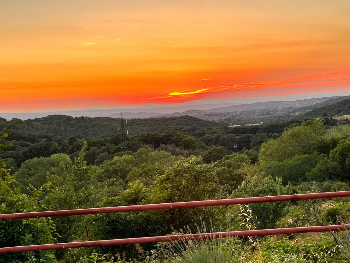B&B Il Tramonto Barbarano Romano 外观 照片