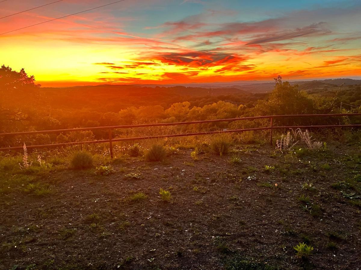 B&B Il Tramonto Barbarano Romano 外观 照片