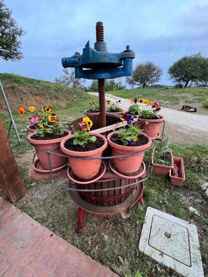 B&B Il Tramonto Barbarano Romano 外观 照片