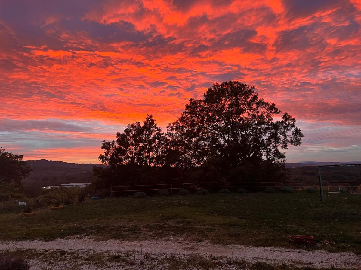 B&B Il Tramonto Barbarano Romano 外观 照片