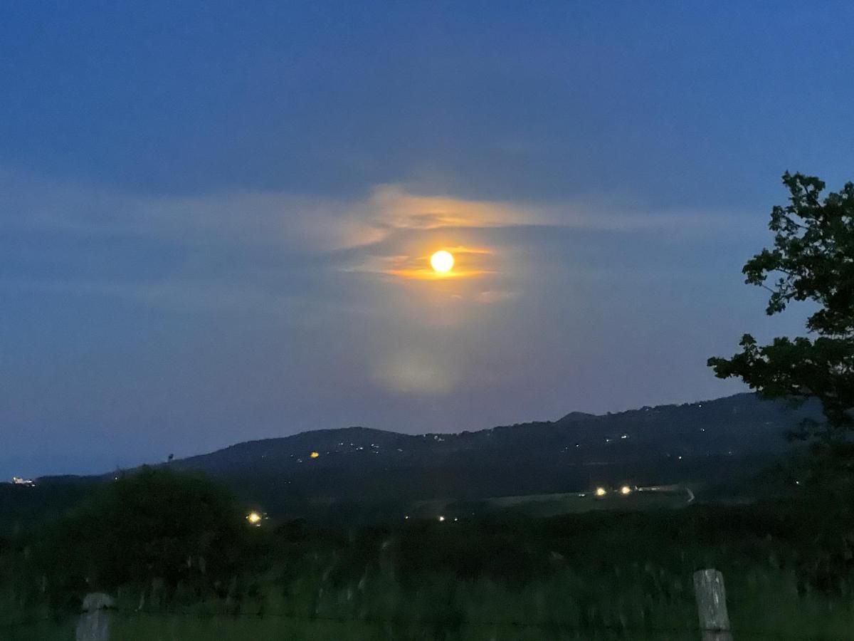 B&B Il Tramonto Barbarano Romano 外观 照片